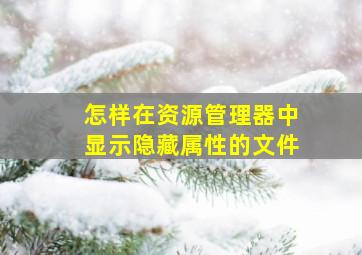 怎样在资源管理器中显示隐藏属性的文件