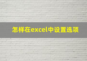 怎样在excel中设置选项