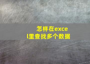 怎样在excel里查找多个数据