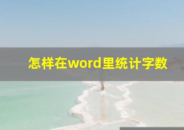 怎样在word里统计字数