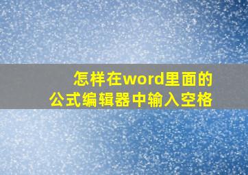 怎样在word里面的公式编辑器中输入空格