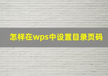 怎样在wps中设置目录页码