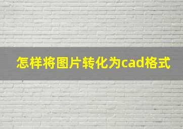 怎样将图片转化为cad格式