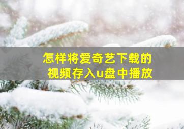 怎样将爱奇艺下载的视频存入u盘中播放