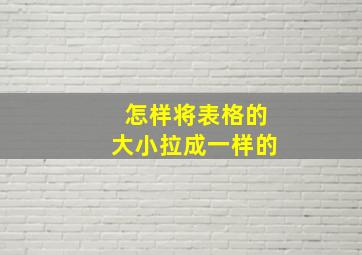 怎样将表格的大小拉成一样的