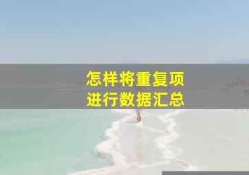 怎样将重复项进行数据汇总