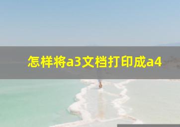 怎样将a3文档打印成a4