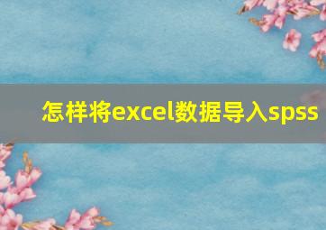 怎样将excel数据导入spss