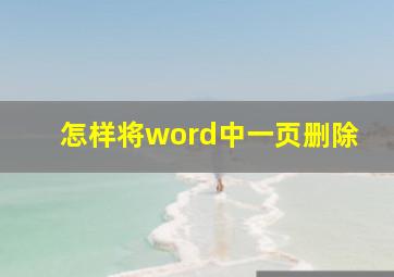 怎样将word中一页删除