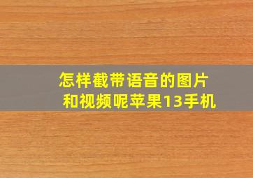 怎样截带语音的图片和视频呢苹果13手机