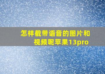 怎样截带语音的图片和视频呢苹果13pro