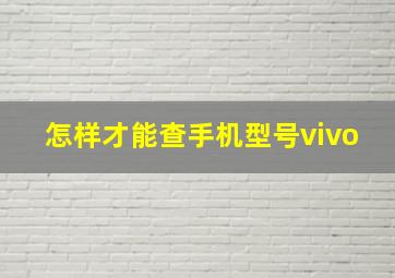 怎样才能查手机型号vivo