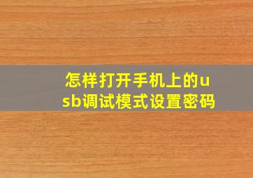 怎样打开手机上的usb调试模式设置密码