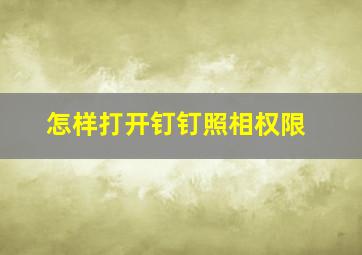 怎样打开钉钉照相权限