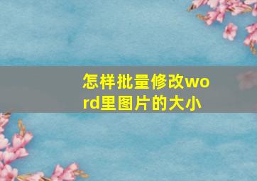 怎样批量修改word里图片的大小