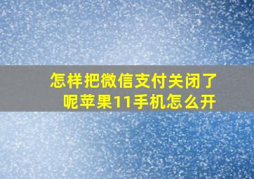 怎样把微信支付关闭了呢苹果11手机怎么开