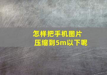 怎样把手机图片压缩到5m以下呢