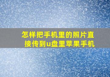 怎样把手机里的照片直接传到u盘里苹果手机