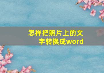 怎样把照片上的文字转换成word