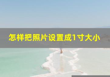 怎样把照片设置成1寸大小