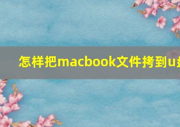 怎样把macbook文件拷到u盘