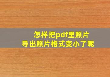 怎样把pdf里照片导出照片格式变小了呢