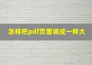 怎样把pdf页面调成一样大