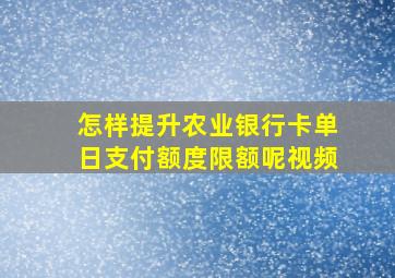 怎样提升农业银行卡单日支付额度限额呢视频