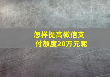 怎样提高微信支付额度20万元呢