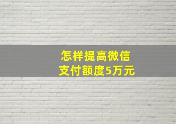 怎样提高微信支付额度5万元