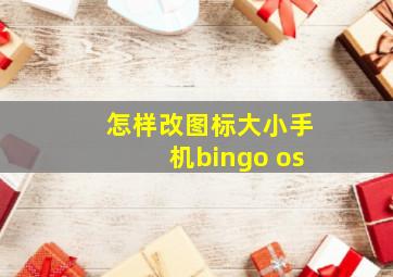 怎样改图标大小手机bingo os