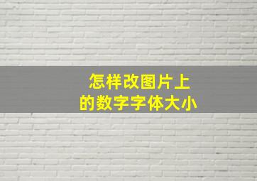 怎样改图片上的数字字体大小