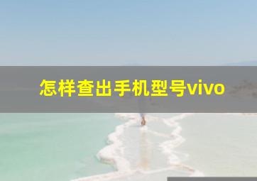 怎样查出手机型号vivo