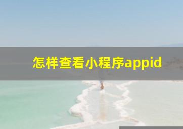 怎样查看小程序appid