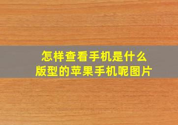 怎样查看手机是什么版型的苹果手机呢图片