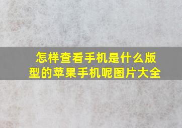 怎样查看手机是什么版型的苹果手机呢图片大全