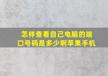 怎样查看自己电脑的端口号码是多少啊苹果手机