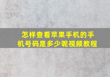 怎样查看苹果手机的手机号码是多少呢视频教程