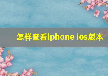 怎样查看iphone ios版本