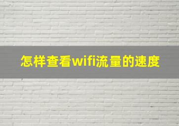 怎样查看wifi流量的速度