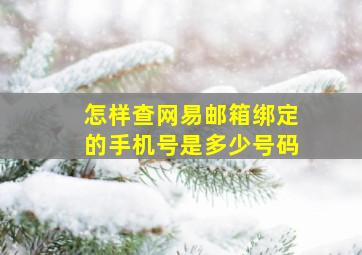 怎样查网易邮箱绑定的手机号是多少号码