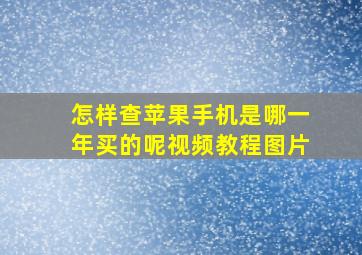 怎样查苹果手机是哪一年买的呢视频教程图片