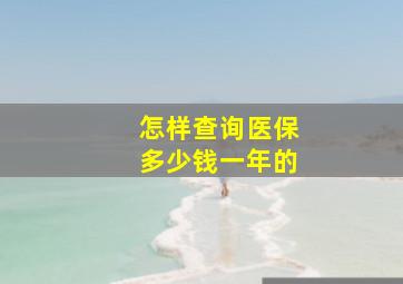 怎样查询医保多少钱一年的