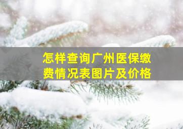 怎样查询广州医保缴费情况表图片及价格