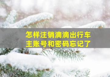 怎样注销滴滴出行车主账号和密码忘记了