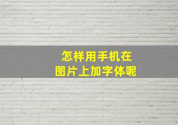 怎样用手机在图片上加字体呢