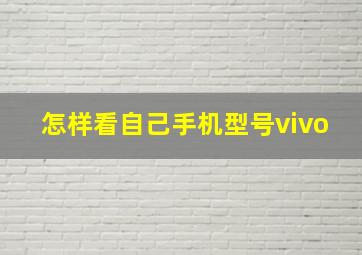 怎样看自己手机型号vivo