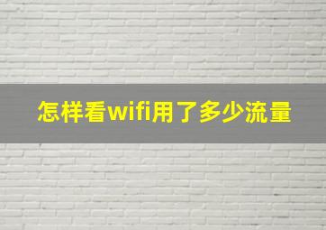 怎样看wifi用了多少流量