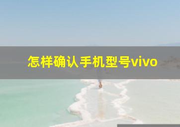 怎样确认手机型号vivo