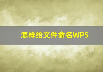 怎样给文件命名WPS